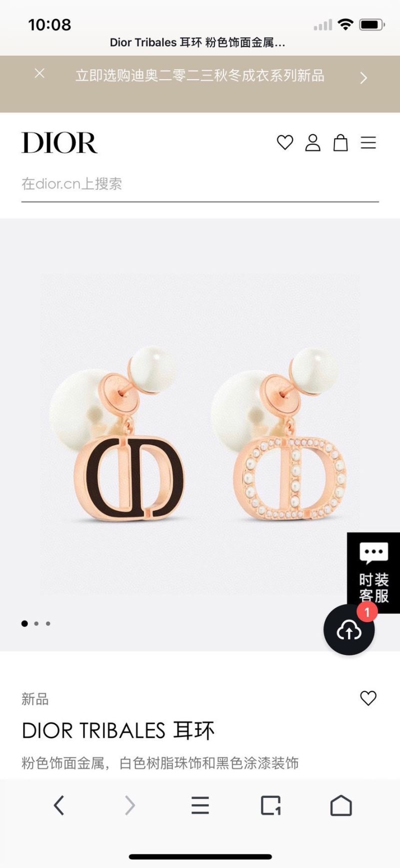 Christian Dior Earrings